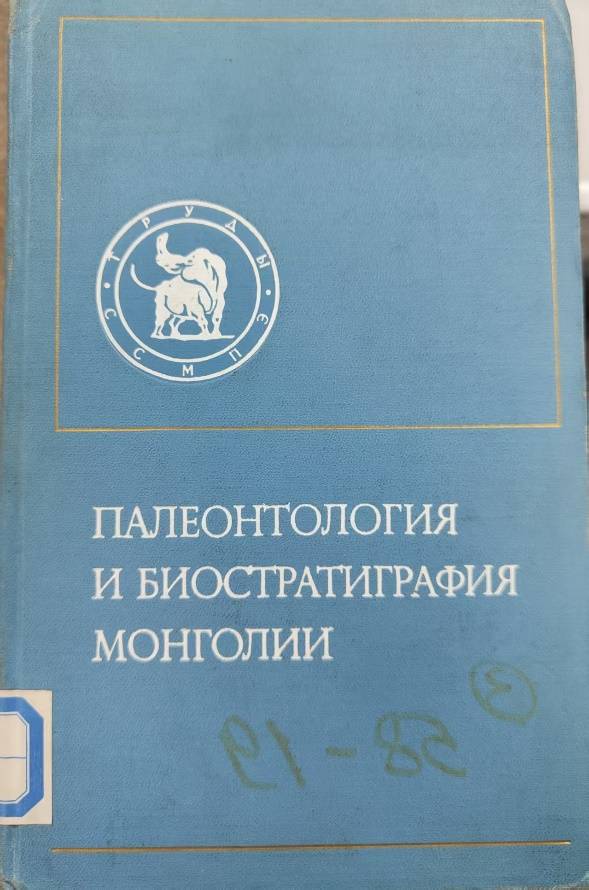 数据缩略图