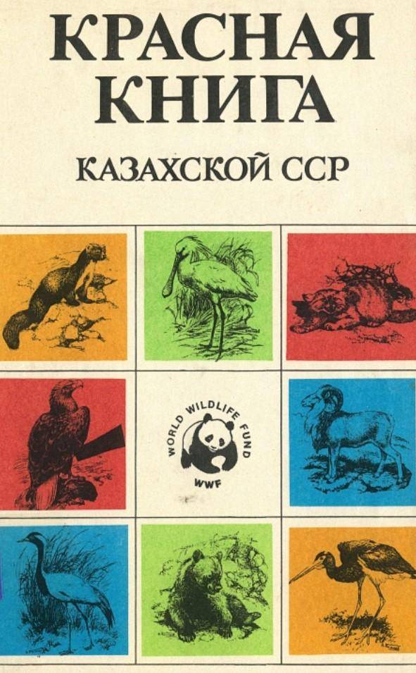 数据缩略图