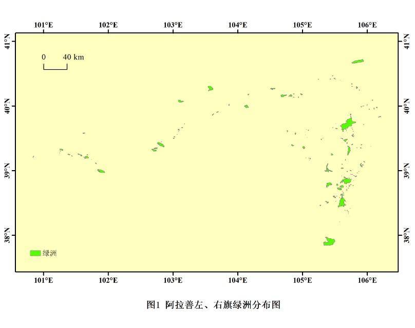 数据缩略图