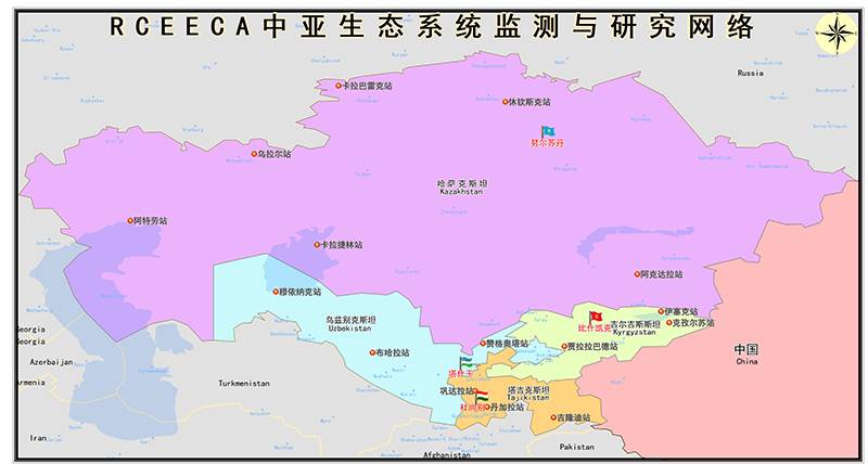 数据缩略图